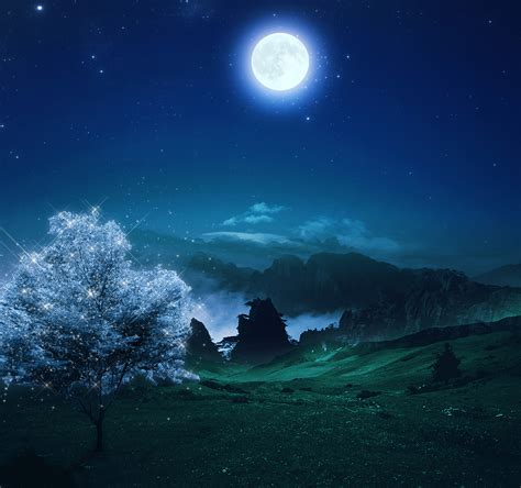 "A Beautiful Night" - DarkCruz360 Photo (31034436) - Fanpop