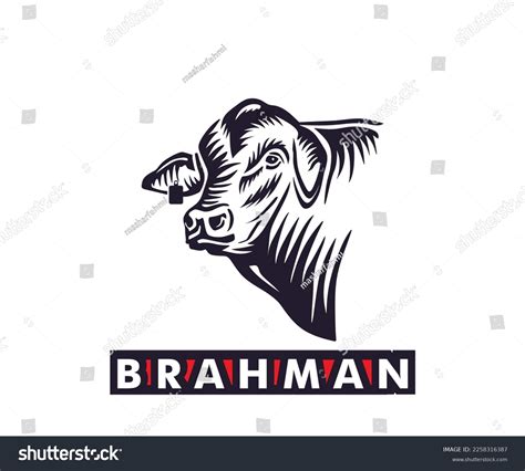 93 Brahman Cattle Breeds Vectors Images, Stock Photos & Vectors | Shutterstock