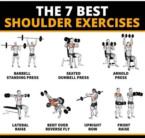 The best 7 shoulder exercices | Best shoulder workout, Shoulder workout, Biceps workout