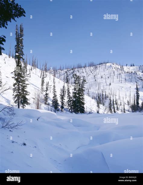 Western Sayan Mountains. Siberia. Russia Stock Photo - Alamy