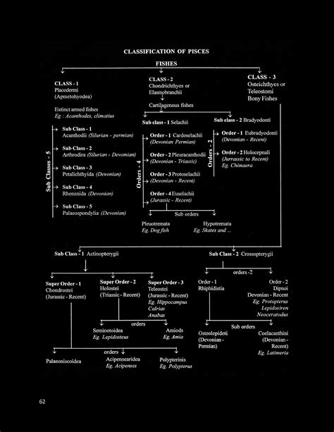 SOLUTION: Zoology pisces general charecters classification and dipnoi - Studypool