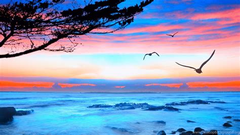 Top HD Ocean View Wallpapers Desktop Background