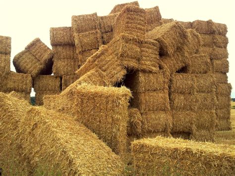 Giant Haystacks | Velo Richard