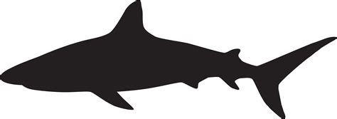 Download Transparent Shark Silhouette Png Clip Art Image - Shark Silhouette Png - PNGkit
