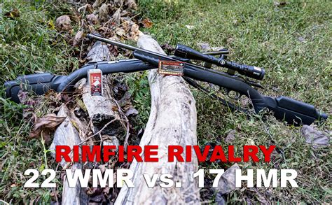 22 WMR vs 17 HMR | What's Better & What's the Difference?