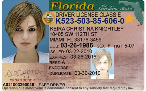 Editable Blank Florida Drivers License Template