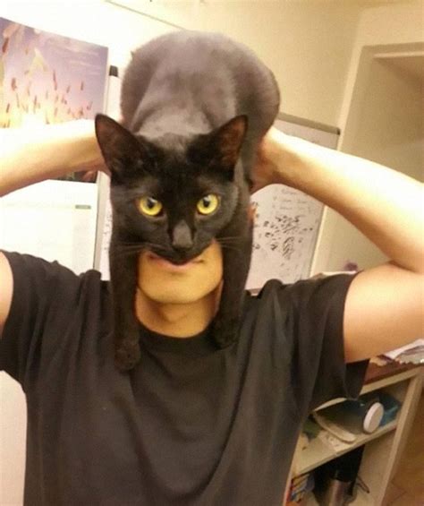 CATMAN: Guy Shows How To Look Like Batman Using Your Cat | Bored Panda