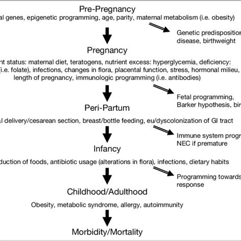 A child with growth hormone deficiency demonstrating catch-up growth... | Download Scientific ...