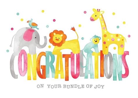 Baby Animals Congratulation Image Card