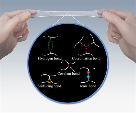 Elastomers develop stronger bonds of attachment | Asia Research News