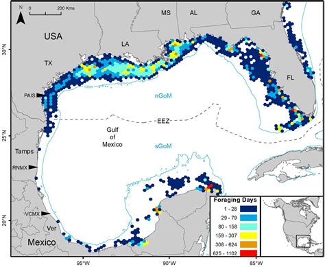 Sea Turtle Migration - All Turtles