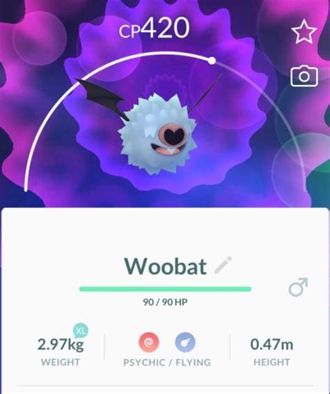 Woobat and Swoobat now available in Pokémon GO for the first time – Pokémon Blog