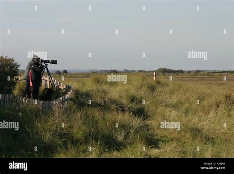 Photographers at Donna Nook National Nature Reserve in Lincolnshire, England Stock Photo - Alamy