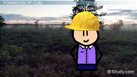 Coal Formation Animation