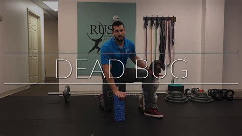 Dead Bug: Core Exercise for Lower Back Pain and Core Strengthening ...