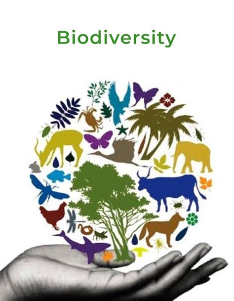 Biodiversity Conservation - Blog | Stuid Learning App