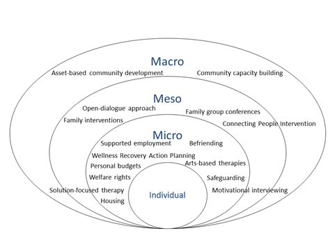 Micro Mezzo Macro Social Work Examples