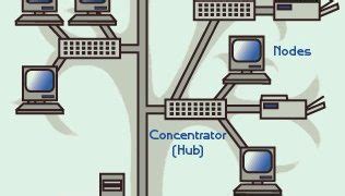 Tree topology examples Archives - IT Release