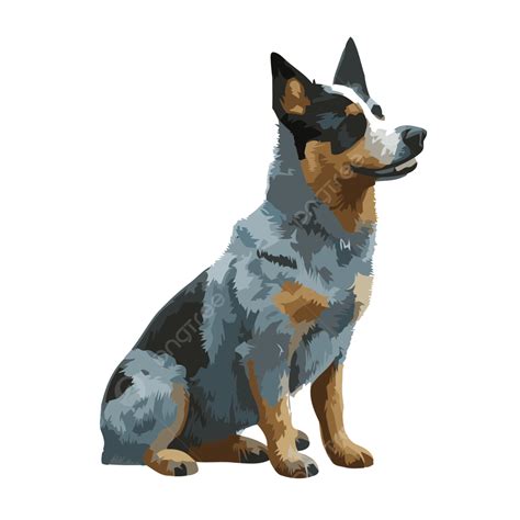 Blue Heeler Vector, Sticker Clipart Picture Of A Blue Heeler Dog On A ...