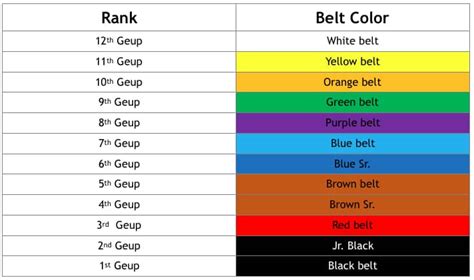 Journey of Colors: Understanding Taekwondo Belts – Appcash.info