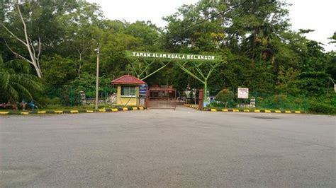 Kuala Selangor Nature Park (Taman Alam Kuala Selangor) - 2020 All You ...