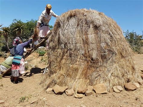 Amanina ayesakha izindlu zabakhwetha bengafi - I'solezwe lesiXhosa