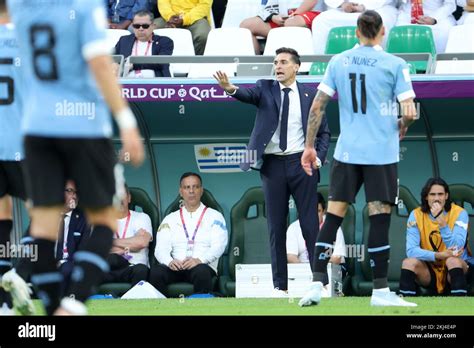 Coach of Uruguay Diego Alonso during the FIFA World Cup 2022, Group H ...