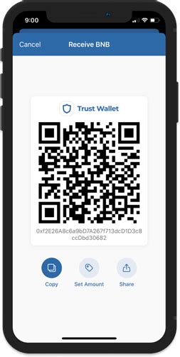 How to Setup Binance Chain Extension with Trust Wallet - Basics - Trust ...