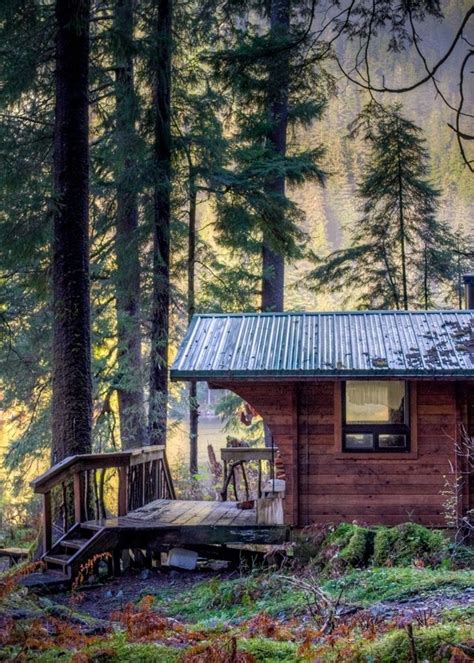 Forest Cabin | Cabins in the woods, Forest cabin, Rustic cabin