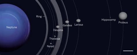 Astronomers Have Discovered an Incredibly Small Object Orbiting Neptune : ScienceAlert