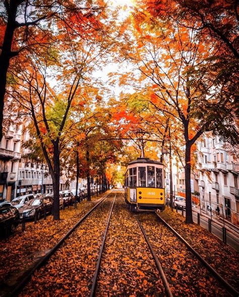 Autumn in Italy : r/pics