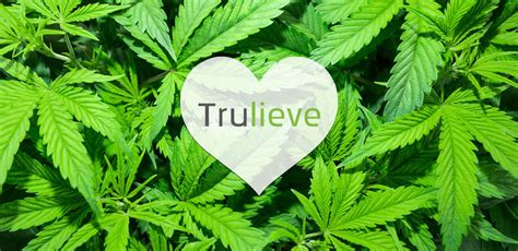 Trulieve Cannabis: The Most Undervalued Cannabis Stock – The Trading Letter