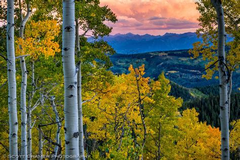 Aspen Trees and Scenic Mountain View at Sunset by adventure_photo #ErnstStrasser #USA | Aspen ...