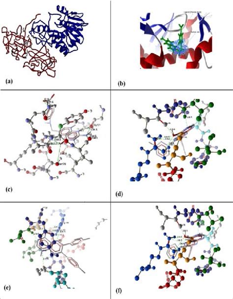 (a) Crystallographic structure of Ricin (Ricin-A chain is shown in blue ...