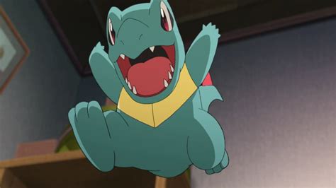 Share more than 142 totodile anime latest - ceg.edu.vn