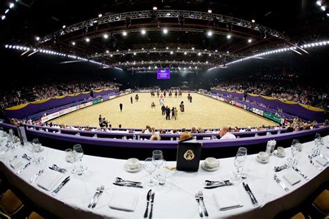 horse of the year show | Horses, Show horses, Birmingham