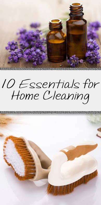 10 Essentials for Home Cleaning • Organization Junkie