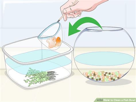 How to Clean a Fish Bowl: 12 Steps (with Pictures) - wikiHow