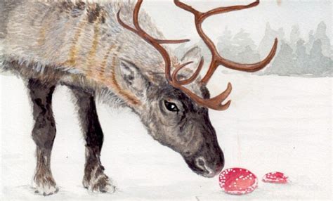 Reindeer eating the mushrooms would, from certain angles, have looked ...