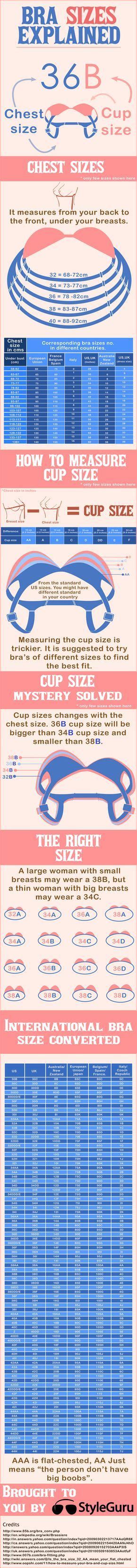 How Do Cup Sizes Work : Each cup sizes is an inch. - Books Free PDF ...