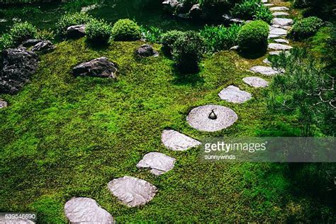 287 Chashitsu Garden Stock Photos, High-Res Pictures, and Images - Getty Images