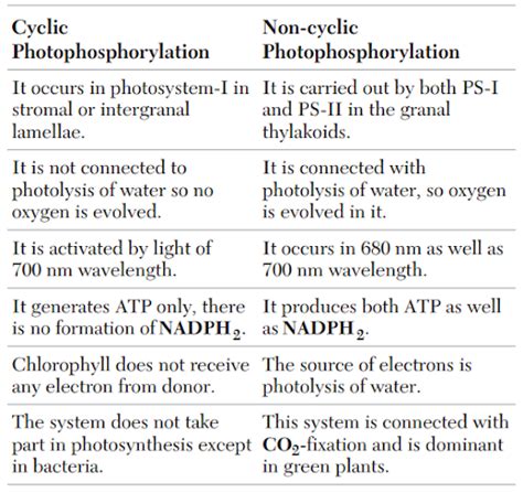 Give comparison between the cyclic and non-cyclic photophosphorylation...