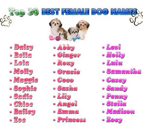 Female Dog Names With Good Meanings - Top 100 Dog Names That Mean Love ...