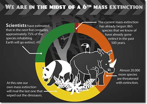 Quick Facts About The Sixth Mass Extinction