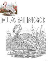 Digital Blank Illustration Of A Flamingo For Coloring Book With The  sketch template