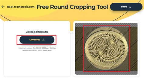 Top 8 Free Online Round Image Maker Tools - BlogSaays