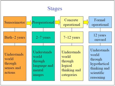 Piaget's Method to his Madness! | Cognitive development, Jean piaget, Learning theory