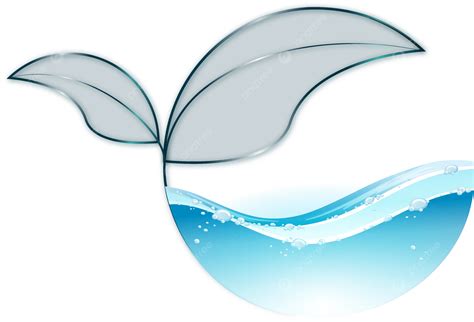 Natural Water Logo Design Vector, Water Logo, Transparent Leaves ...