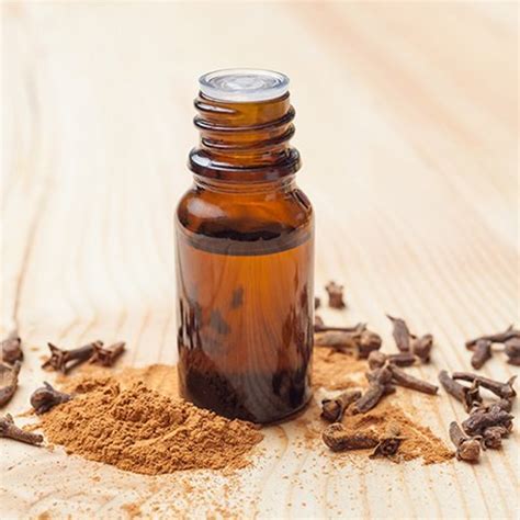 Clove Oil for Skin Care at Rs 1550/litre in New Delhi | ID: 20120756788