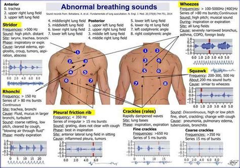 Abnormal Breathing Sounds - MEDizzy